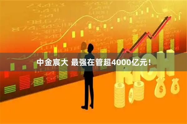 中金宸大 最强在管超4000亿元！