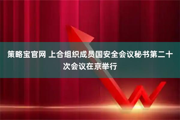 策略宝官网 上合组织成员国安全会议秘书第二十次会议在京举行